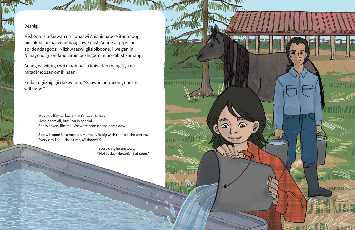 Wiijibibamatoon Anangoonan/Runs with the Stars-ebook