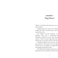 The Case of the Rigged Race-ebook