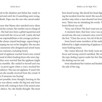 Hidden on the High Wire-ebook