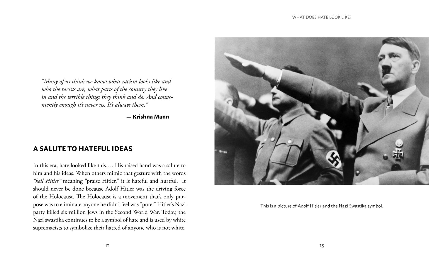 What Does Hate Look Like?-ebook