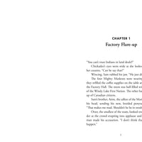 The Case of the Pilfered Pin-ebook
