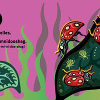 Comptons les bestioles / Aambe Gindaasdaa Mnidooshag-ebook
