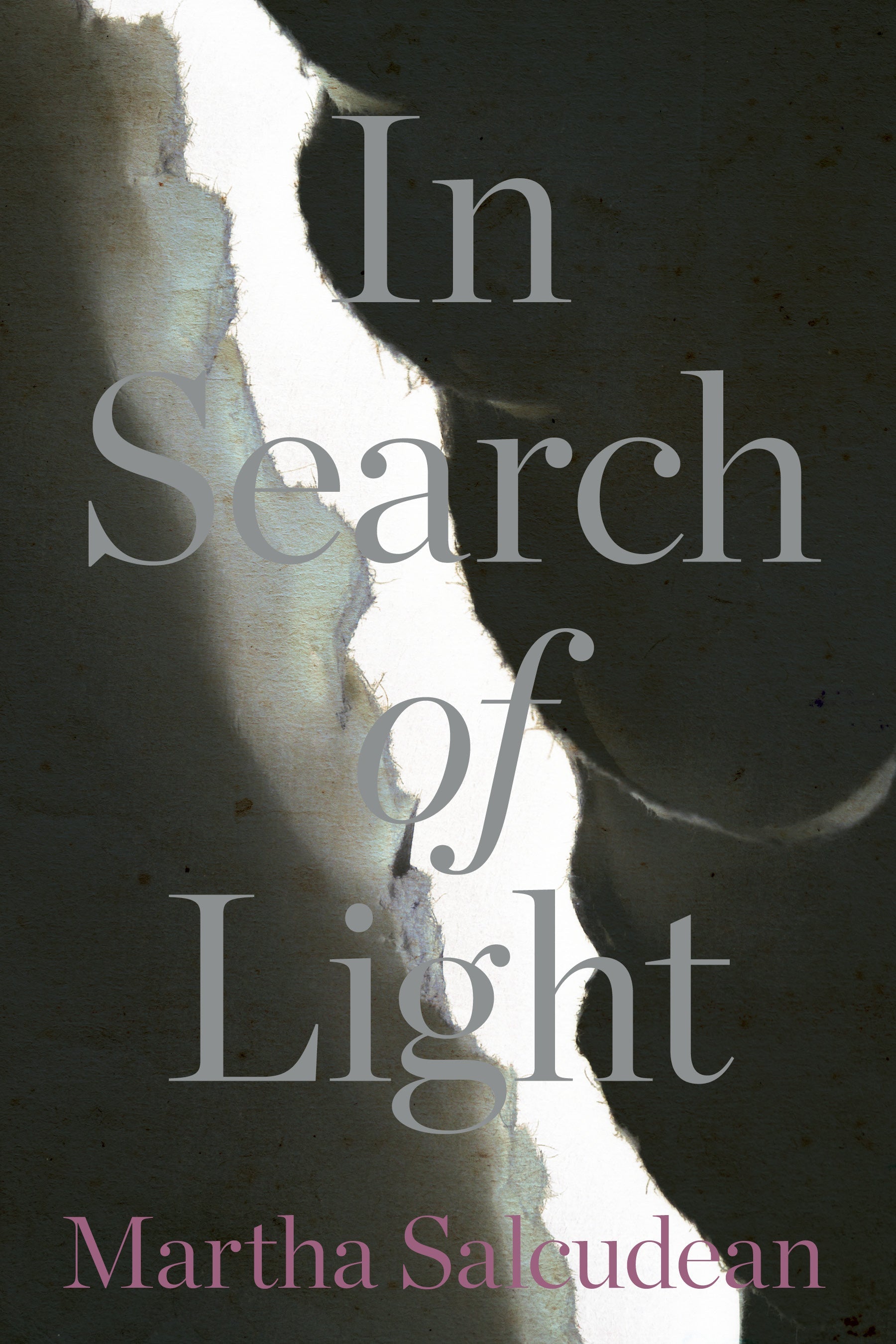 Cover: In Search of Light by Martha Salcudean and Zoltán Tibori Szabó