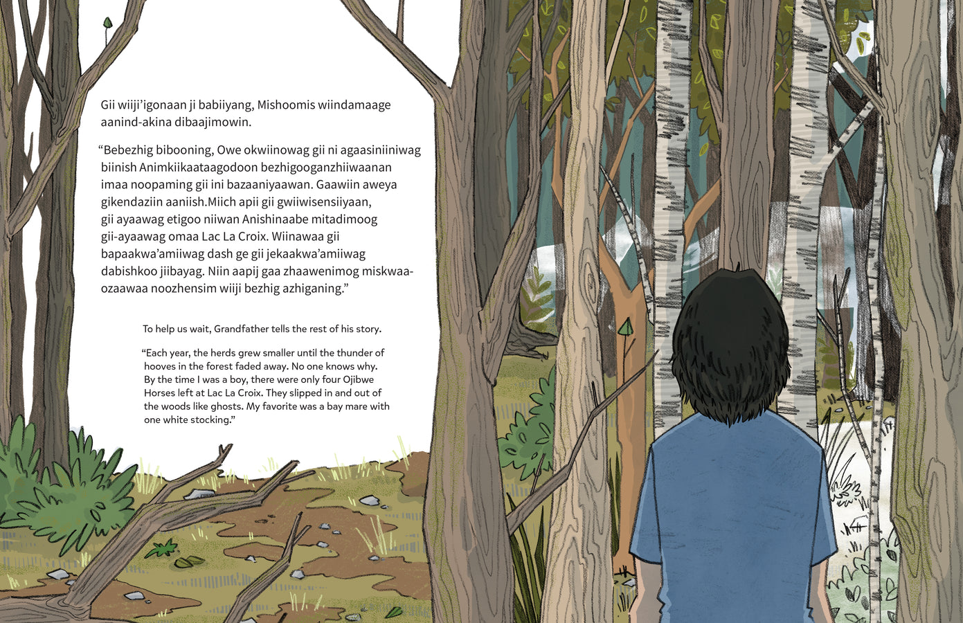 Wiijibibamatoon Anangoonan/Runs with the Stars-ebook