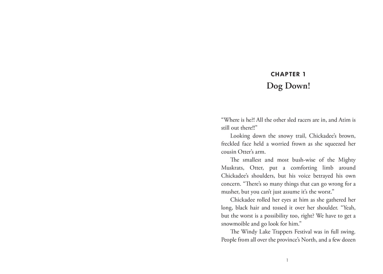 The Case of the Rigged Race-ebook