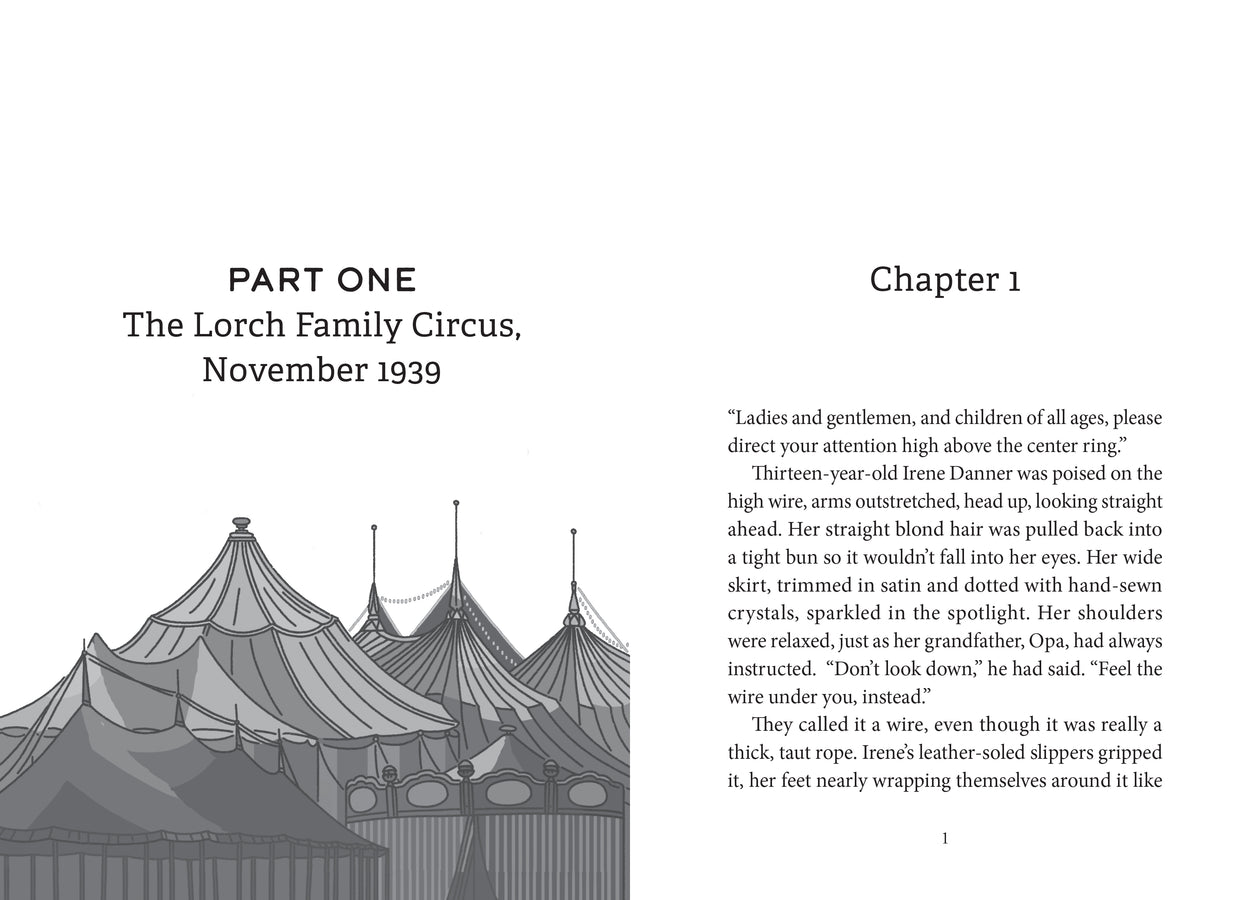 Hidden on the High Wire-ebook