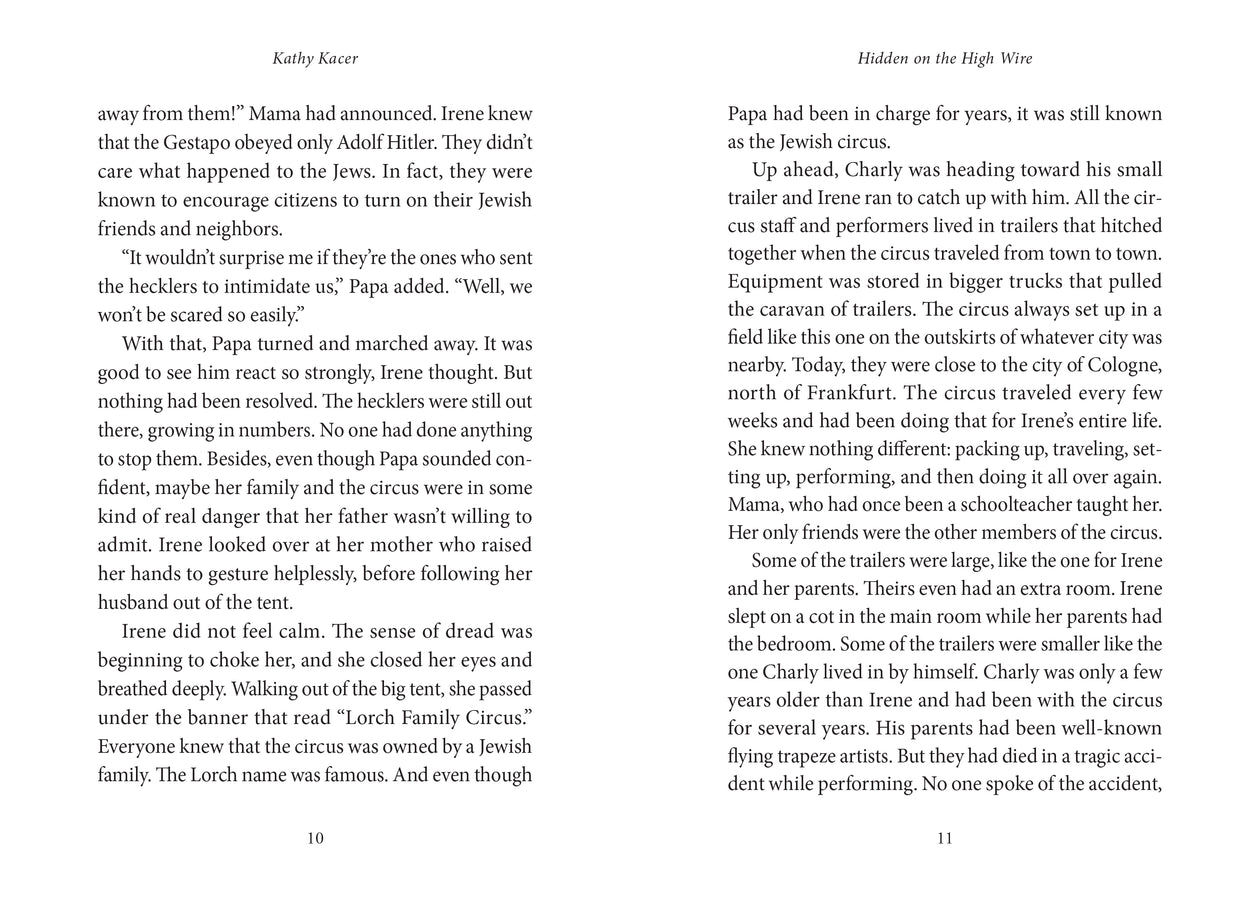 Hidden on the High Wire-ebook