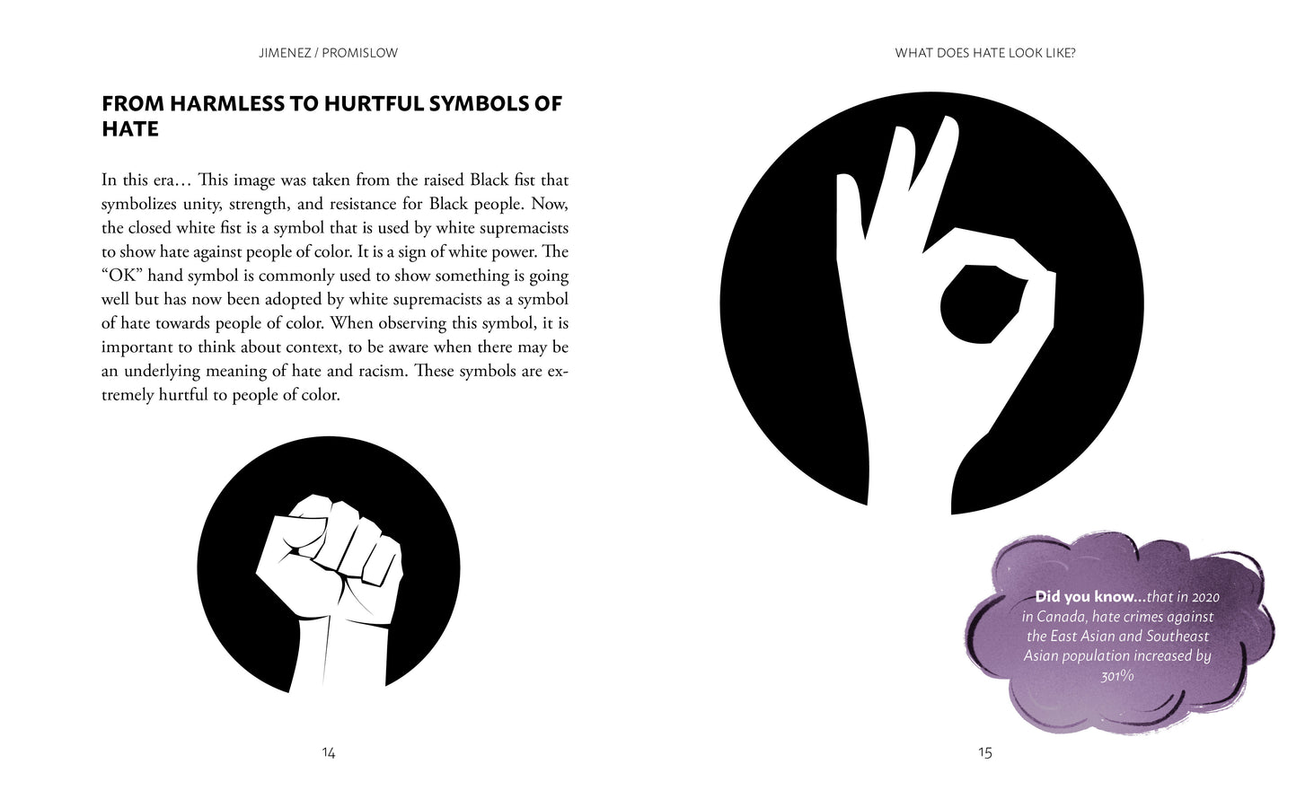 What Does Hate Look Like?-ebook