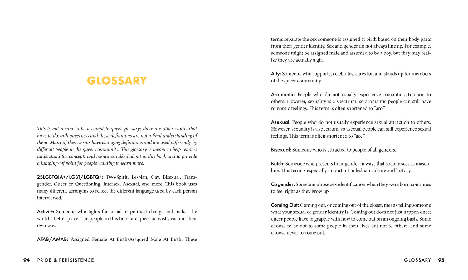 Pride and Persistence-ebook