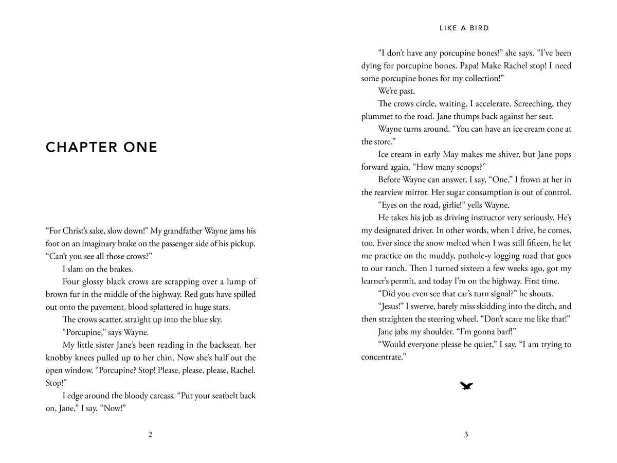 Like a Bird-ebook