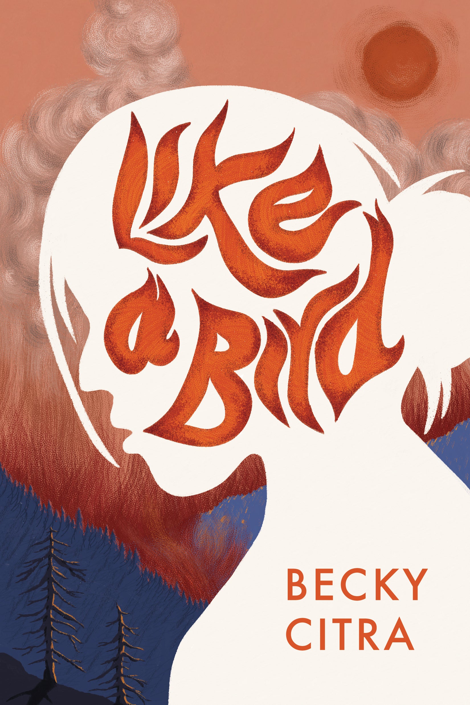 Like a Bird-ebook