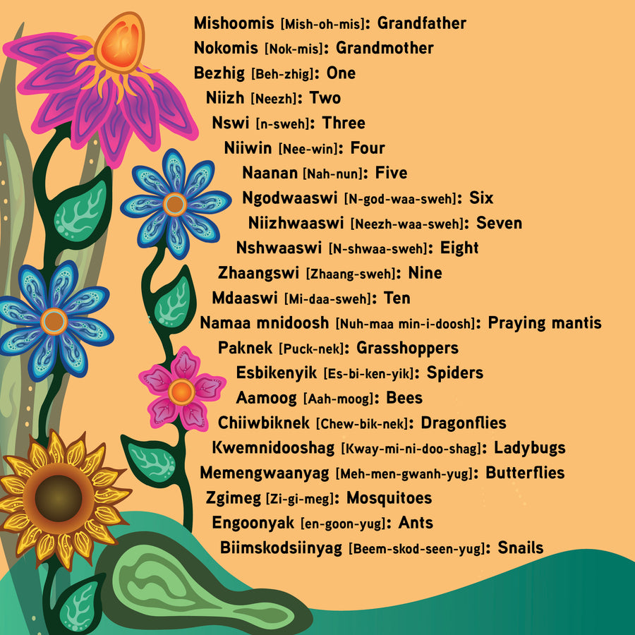 Counting Bugs / Aambe Gindaasaa Mnidooshag