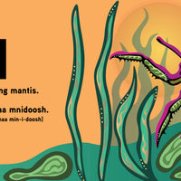 Counting Bugs / Aambe Gindaasdaa Mnidooshag