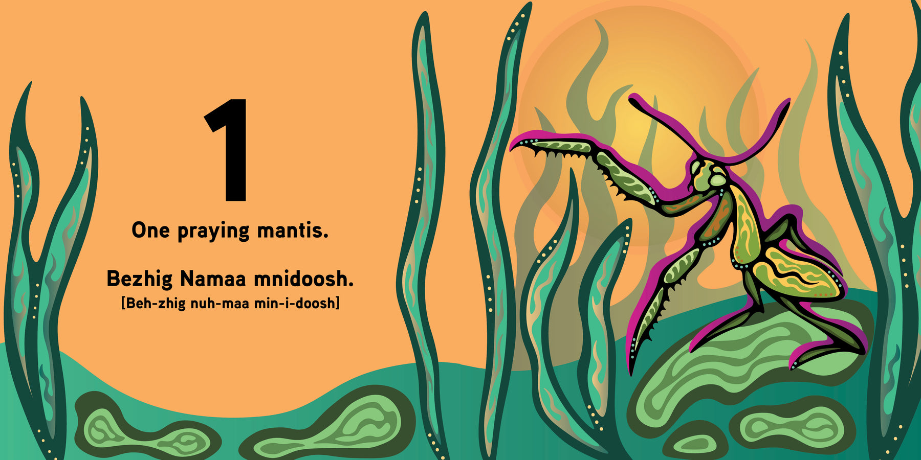 Counting Bugs / Aambe Gindaasaa Mnidooshag