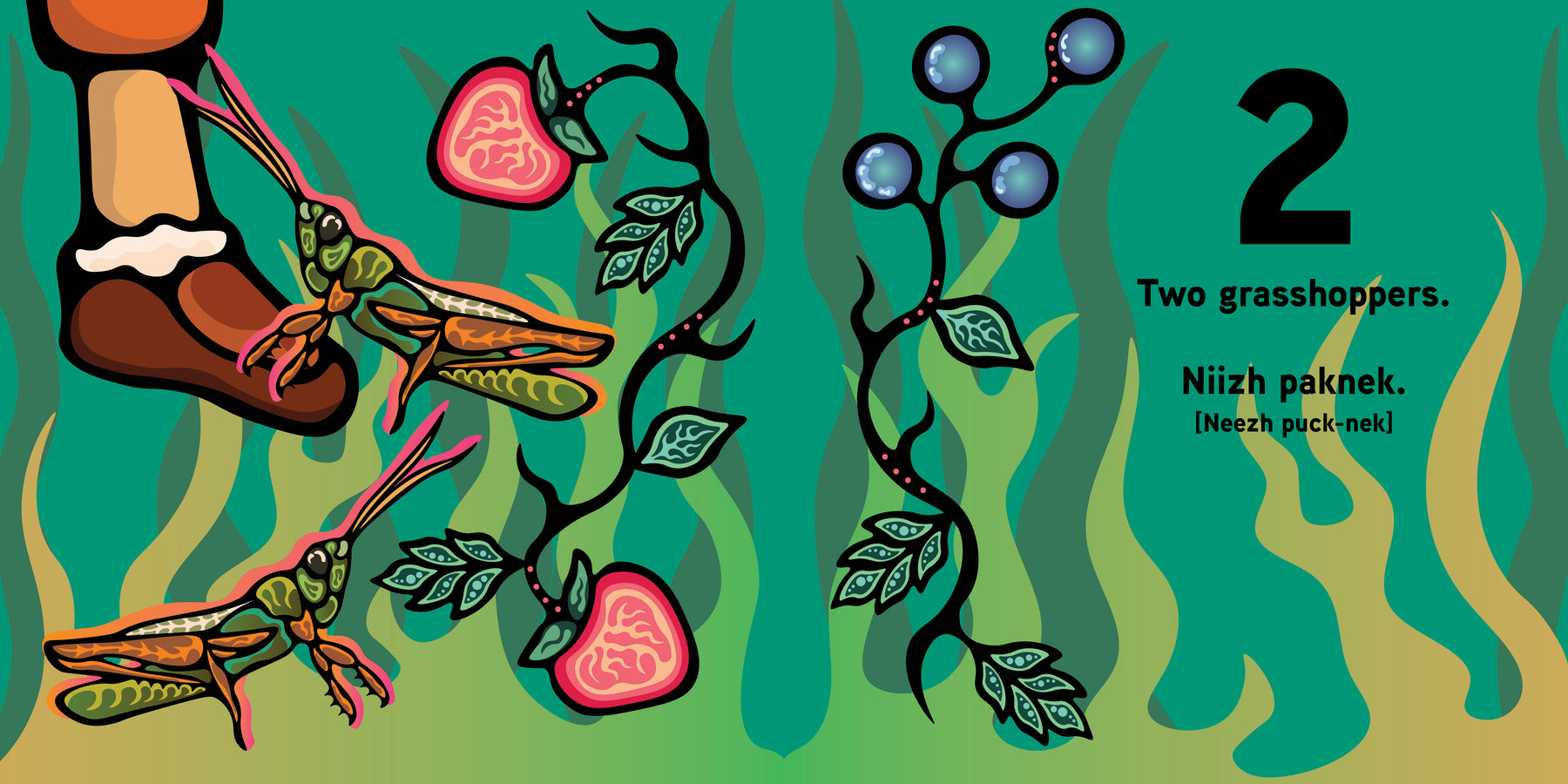 Counting Bugs / Aambe Gindaasaa Mnidooshag