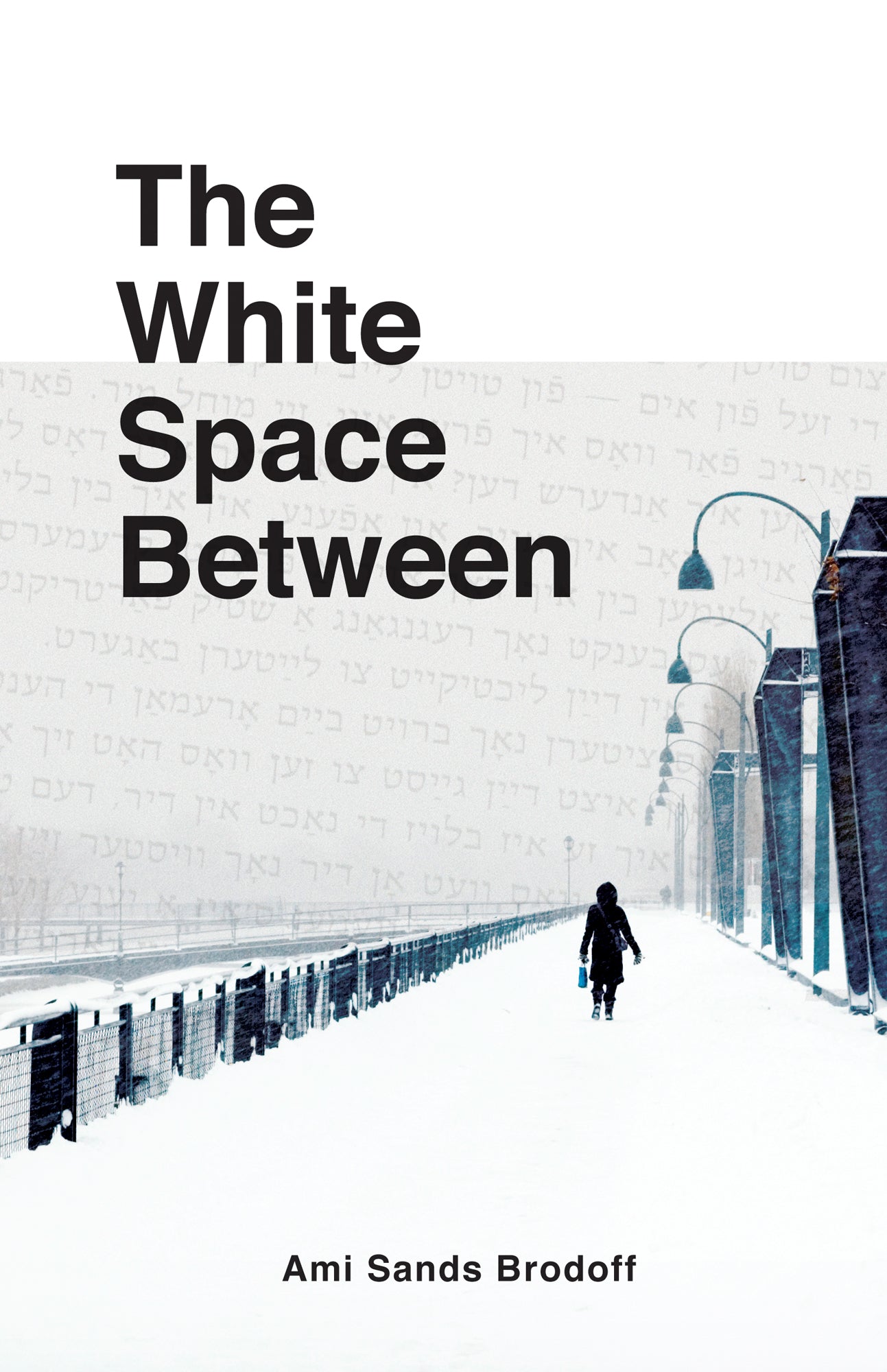 The White Space Between-ebook