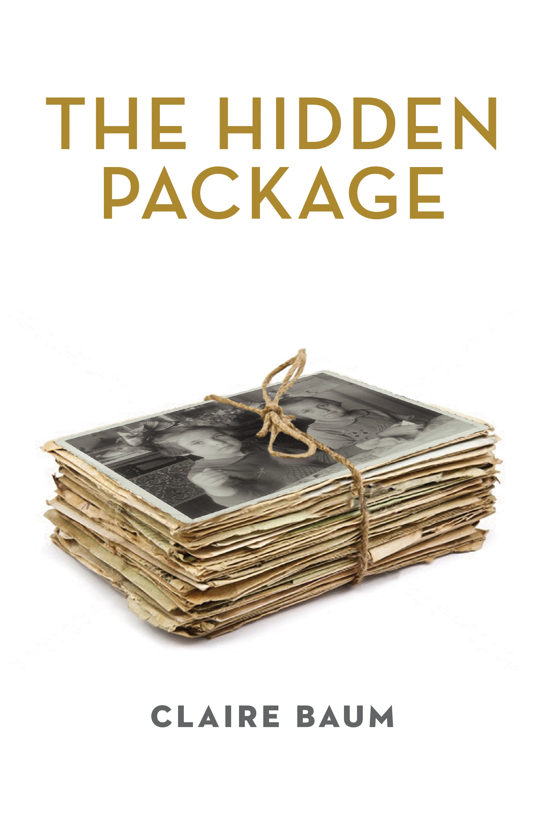 Cover: The Hidden Package by Claire Baum and Carolyne Van Der Meer