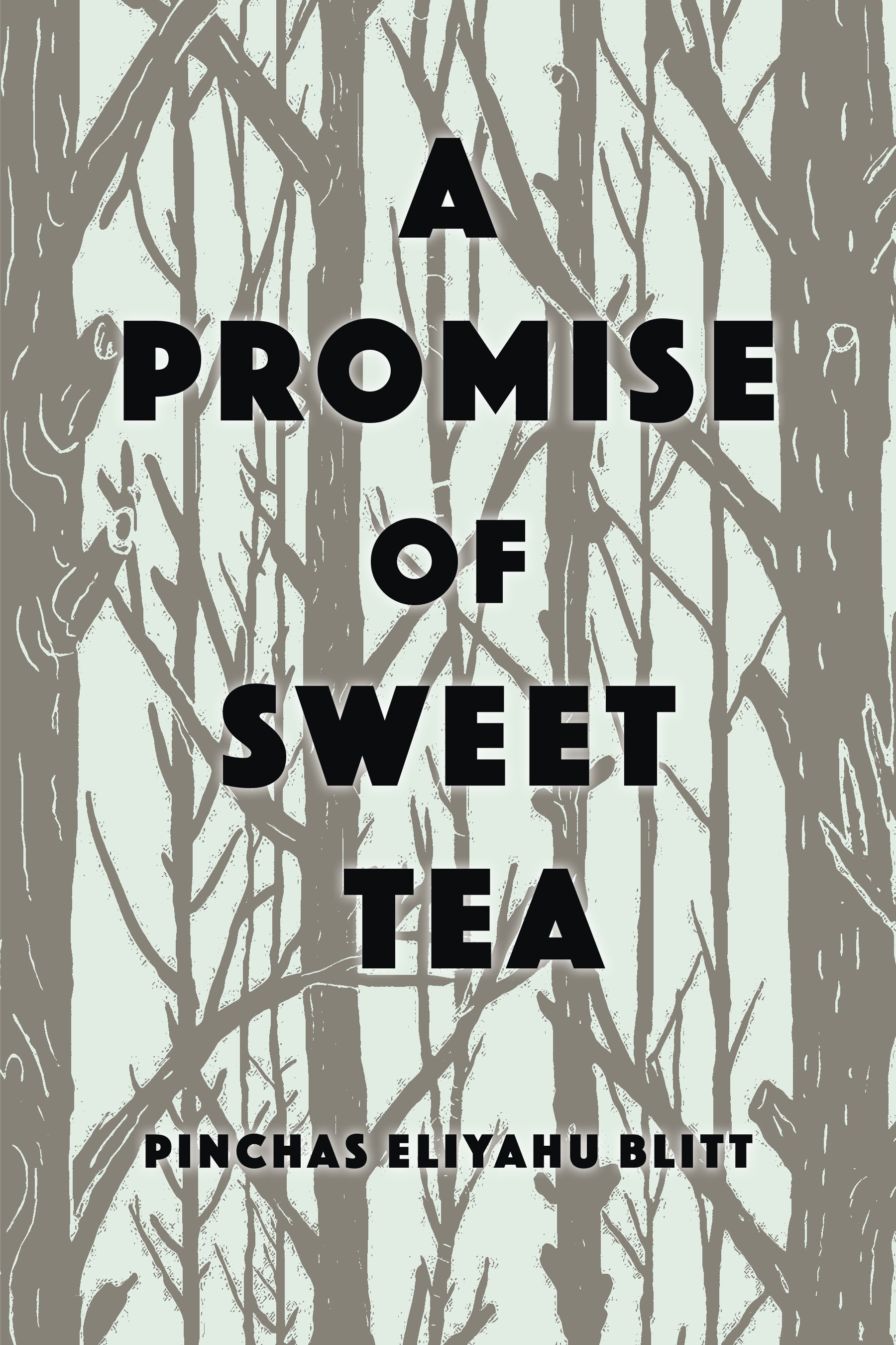 Cover: A Promise of Sweet Tea by Pinchas Eliyahu Blitt and David G. Roskies