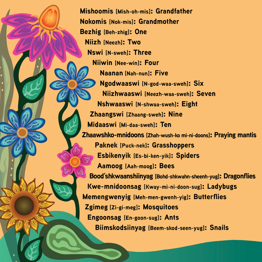 Counting Bugs / Aambe Gindaasdaa Mnidooshag