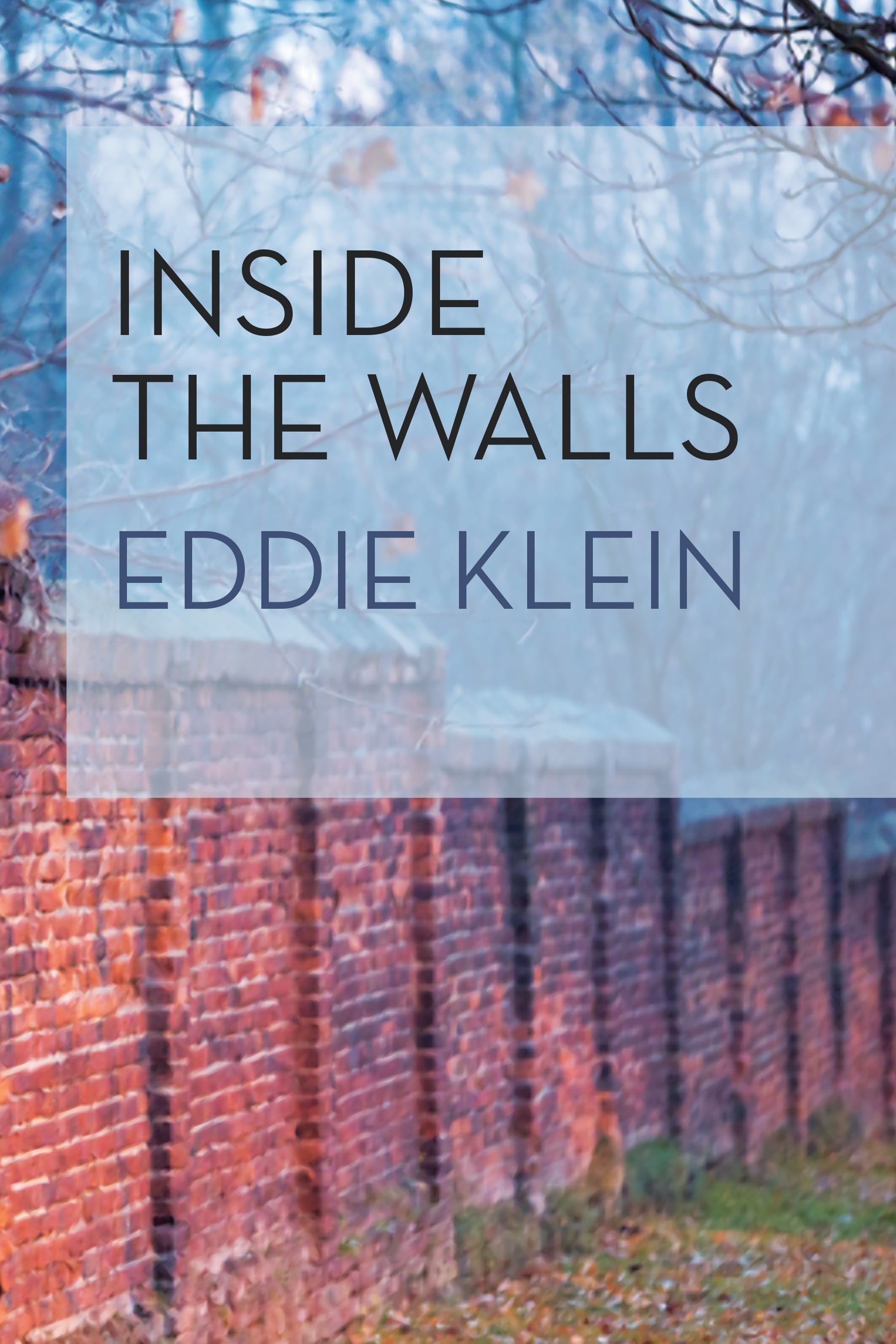 Cover: Inside the Walls by Eddie Klein and Helene Sinnreich
