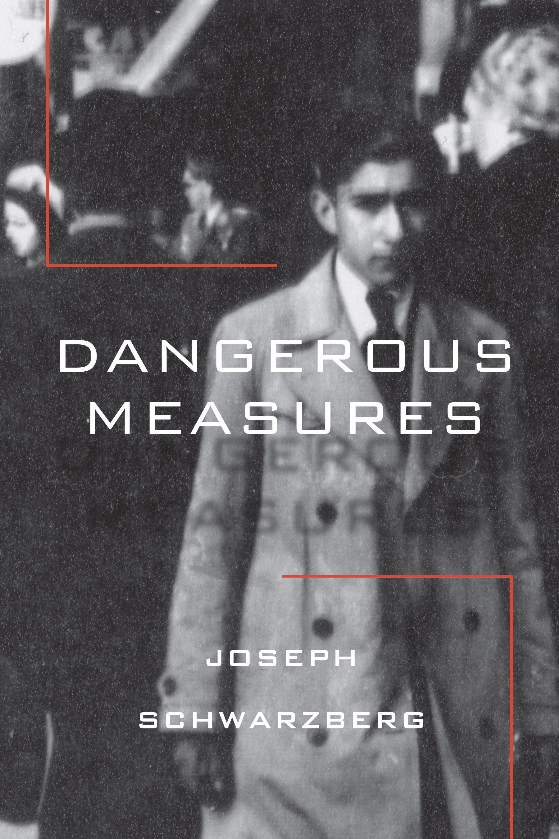 Cover: Dangerous Measures by Joseph Schwarzberg and Renée  Poznanski