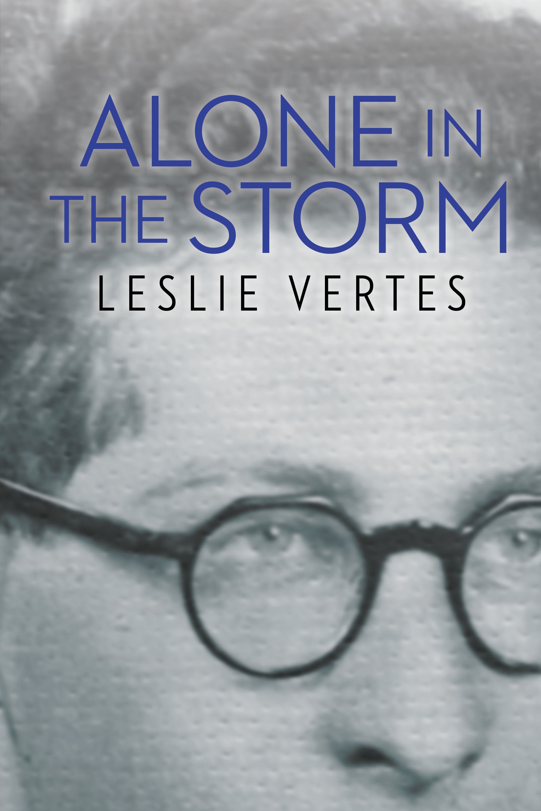 Cover: Alone in the Storm by Leslie Vertes and Christine Schmidt