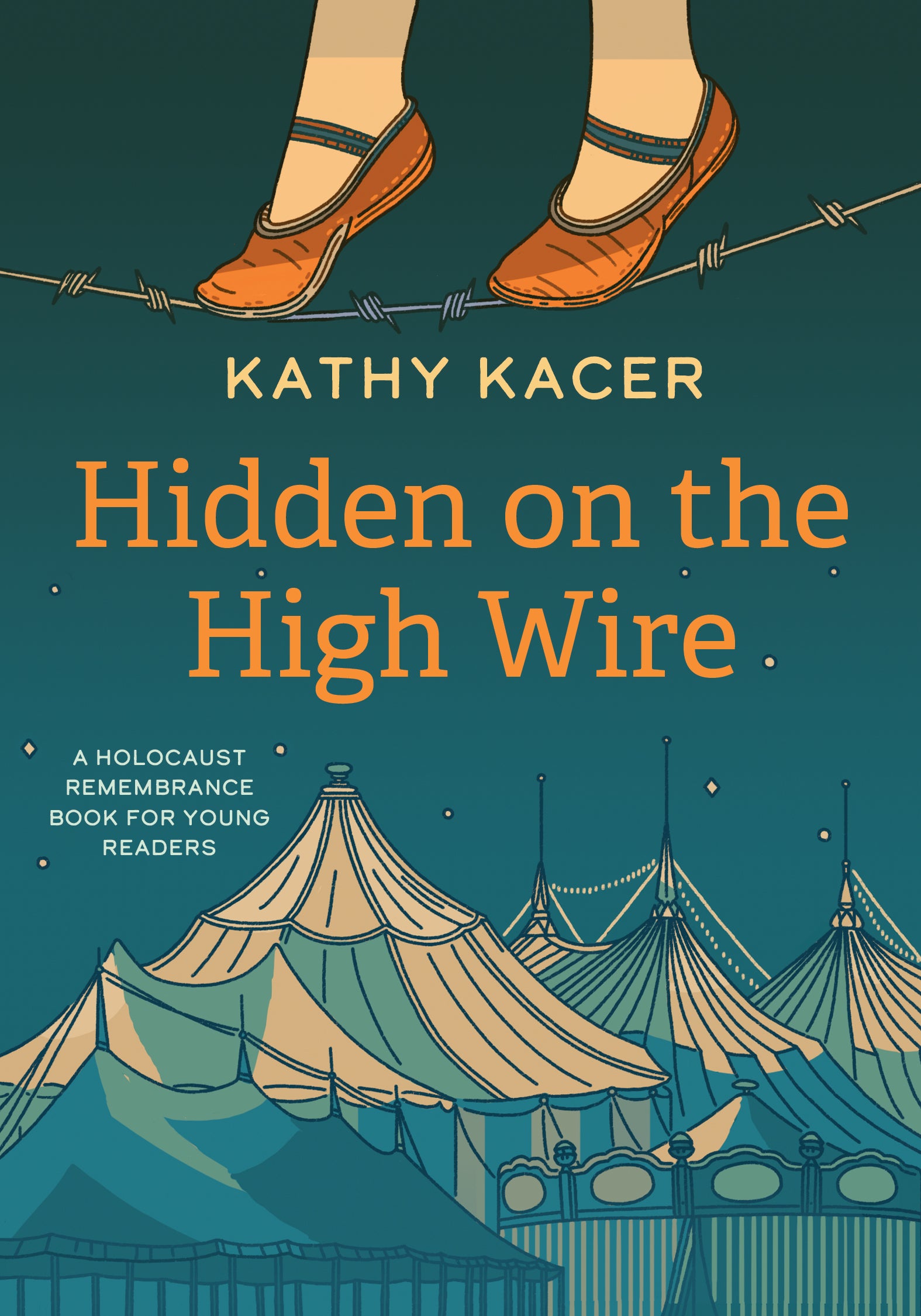 Hidden on the High Wire-ebook
